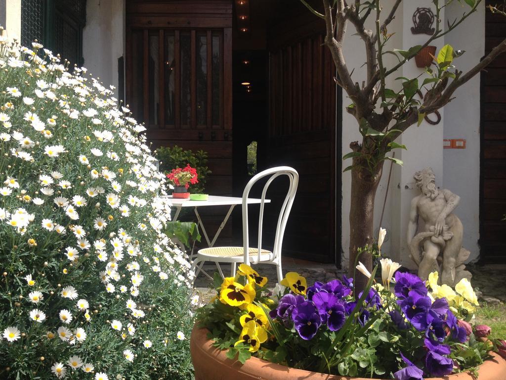Alloggio Turistico La Stalla Tuscania Exterior foto